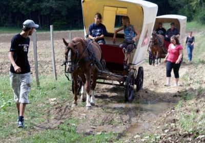 Vergnügen im Schritttempo