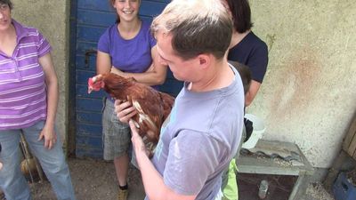 KiSEL auf dem Seebodenhof