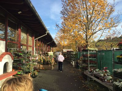 Crêpesverkauf beim Dehner in Haltingen