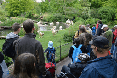 Zoobesuch mit Bewohnern in Basel